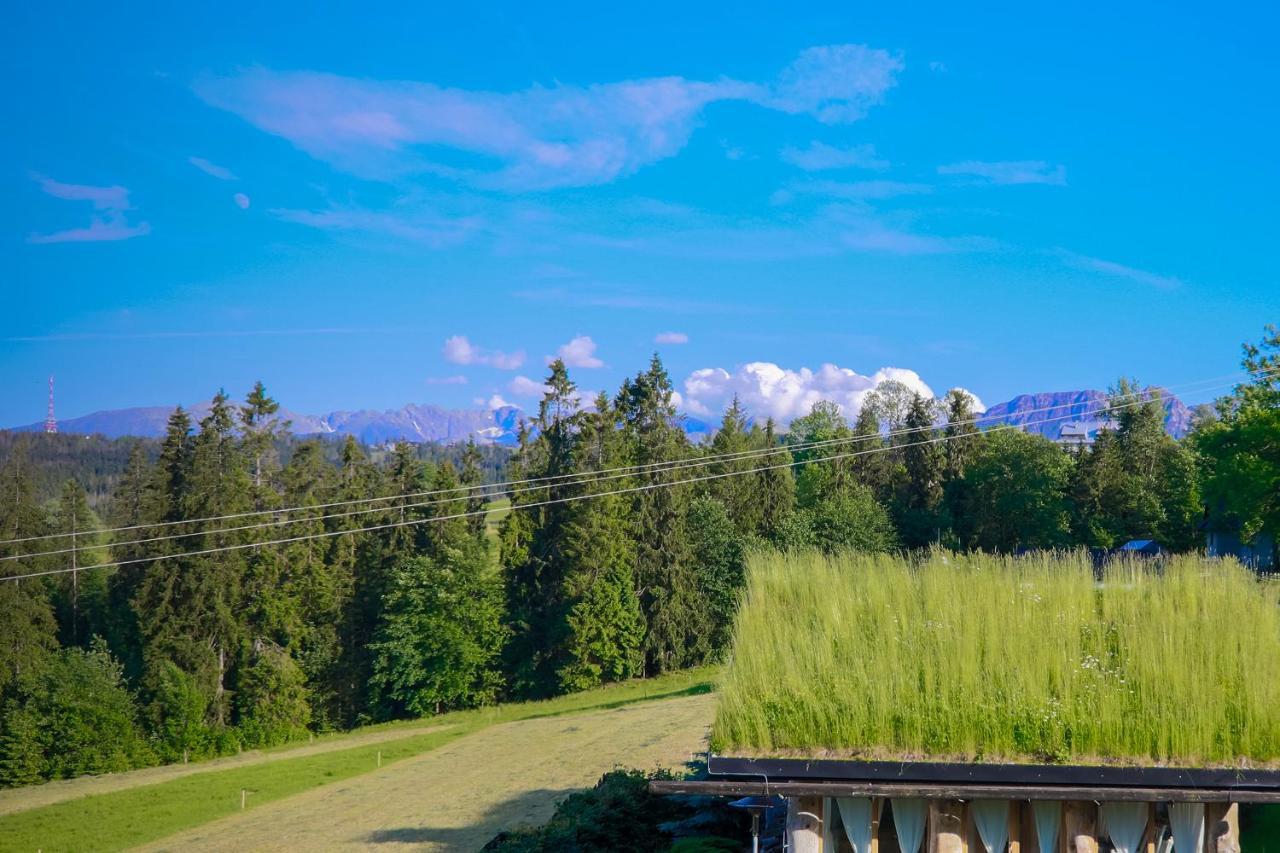 Alpejska Szarotka Villa Nowe Bystre Exterior foto